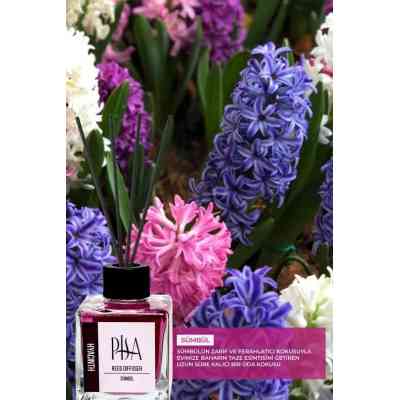 Pise Diffuseur de roseaux à la jacinthe 100 ml Smel-00013 Smella 5 000 FCFA