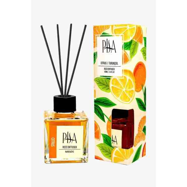 Pisa – Désodorisant en bâtonnets de bambou – Agrumes – 100 ml