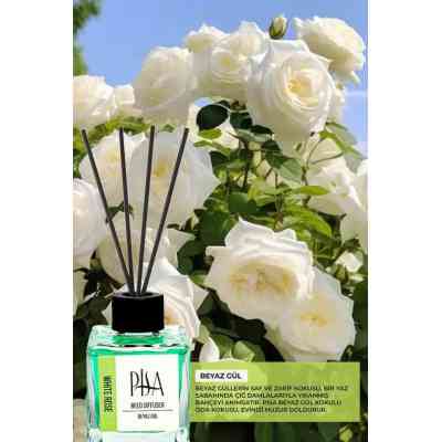 Pisa – Désodorisant en bâtonnets de bambou – Rose blanche – 100 ml Smel-00015 Smella 5 000 FCFA Pisa – Désodorisant en bâtonnets de bambou – Rose blanche – 100 ml Smel-00015 Smella 5 000 FCFA